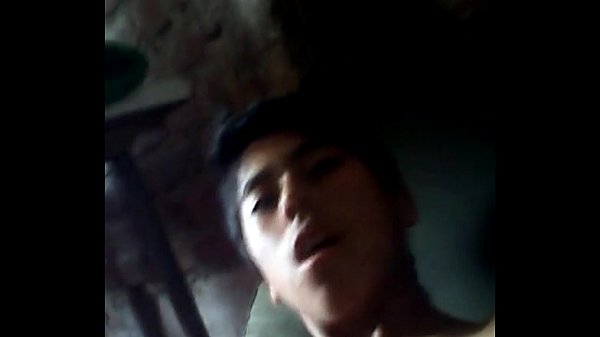 chibolo peruano exitado