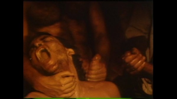 VCA Gay – LA Tool