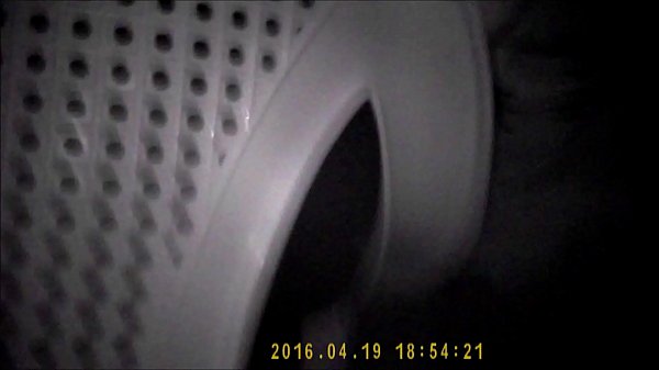 cachando en antro de trujillo – 5