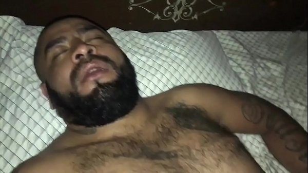 Chacal maduro barbón huevudo durmiendo