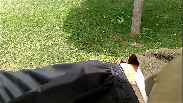 Piraña dormido en la plaza San martin de Lima