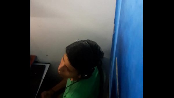 Chibolo peruano pajero