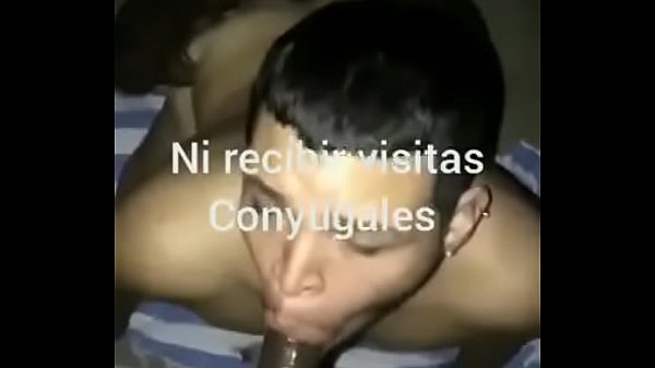Presos felices