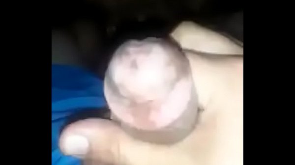 Elvis De Peru 3