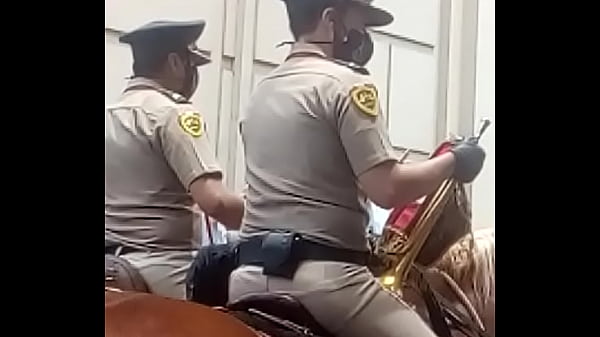 Policia montada