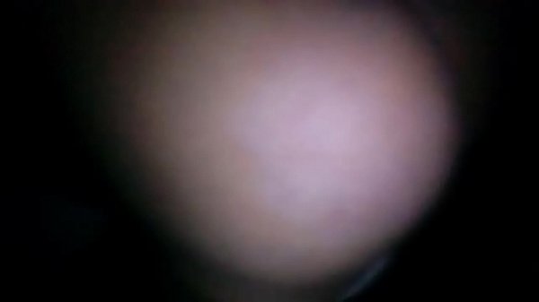 Mi primer video –  my first video