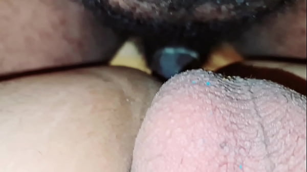 Gay 151